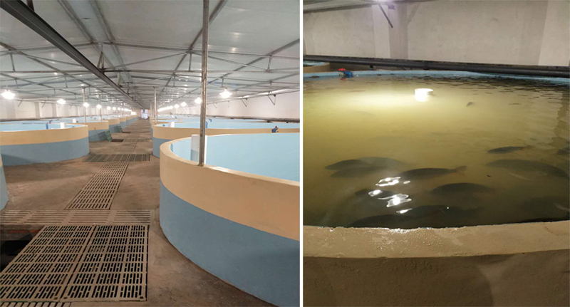 Haiwell(����)PLC/HMI/��/�֙CAPP�ڬF(xi��n)��ˮ�a(ch��n)�r(n��ng)�I(y��)�B(y��ng)ֳ�ϵđ���