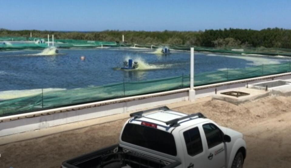 ����PLC��ˮ�a(ch��n)�����C����ϵ�y(t��ng)�ϵđ���